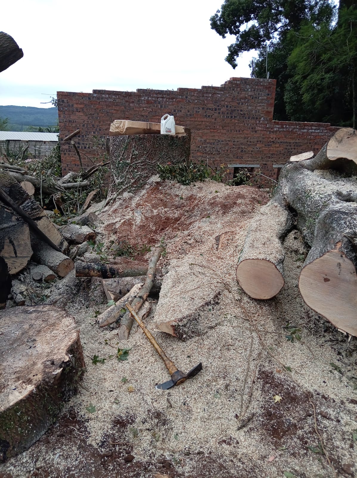 Stump Removal